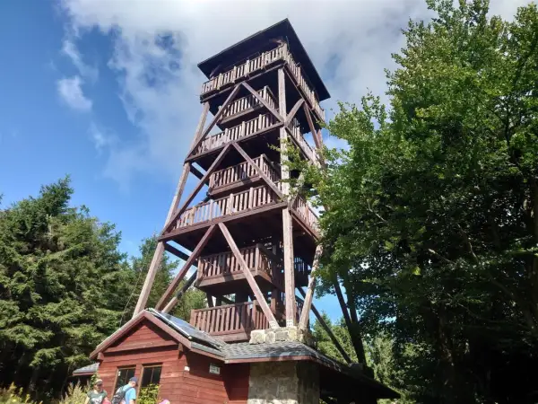 Drewniana wieża widokowa na Orlicy szczyt, otoczona zielenią drzew, zaprasza do podziwiania panoramy.