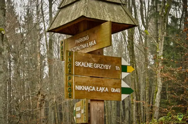 Drewniany drogowskaz w lesie wskazuje drogę do "SKALNE GRZYBY" i "NIKNĄCA ŁĄKA".