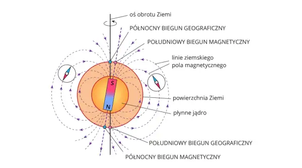 Ilustracja pokazuje, jak działa kompas: igła magnetyczna ustawia się wzdłuż linii pola magnetycznego Ziemi, wskazując biegun północny.