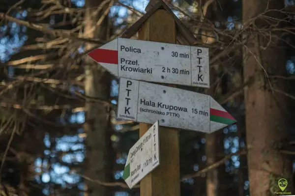 Drewniany słup z drogowskazami PTTK w lesie. Wskazuje polica szlaki do Przeł. Krowiarki (30 min) i Hali Krupowej (15 min).