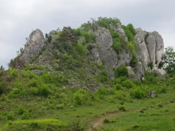 Skaliste zbocze porośnięte zielenią, z widoczną ścieżką. To miejsce idealne na wspinaczkę via ferrata Krucze Skały.