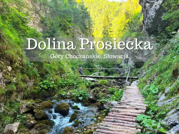 Malownicza Dolina Prosiecka w Górach Choczańskich, Słowacja. Drewniany chodnik wije się wzdłuż potoku, otoczony bujną zielenią i skalnymi ścianami.