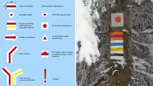 Kolory szlaków górskich na drzewie w zimowej scenerii. Znaki wskazują drogę, punkty widokowe i inne ważne miejsca.
