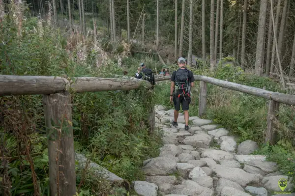 Kamienista ścieżka prowadzi przez las, a turyści idą w kierunku wejścia na Morskie Oko.
