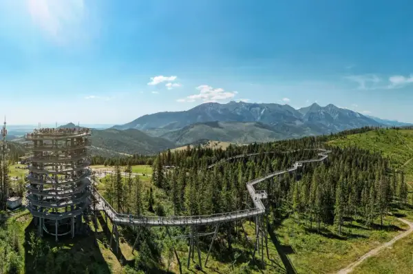 Widok na wieżę widokową i ścieżkę w koronach drzew. Spacer w koronach drzew Zakopane oferuje niezapomniane widoki na Tatry.