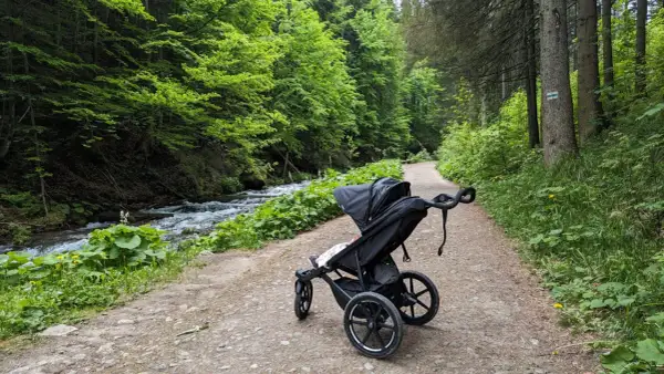Wózek dziecięcy na leśnej ścieżce. Idealne zakopane szlaki dla dzieci z wózkiem, obok szumiącego potoku.
